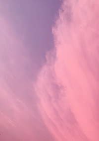 絆