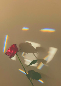 【プリンシパル】