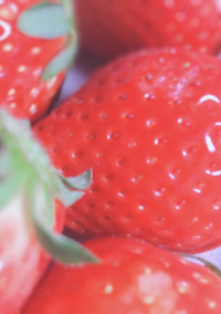 すとろべりーらいふ 🍓
