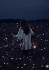 星の雨
