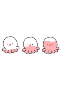 タコの冒険
