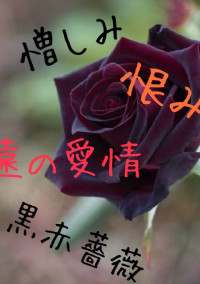 自己満小説 希一族のGL・NL・(たまに?)BL