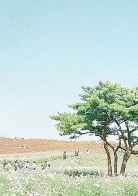 嫌いって言って。