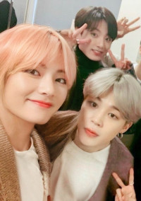 🐤🐯🐰