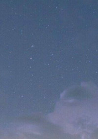 愛に溺れて