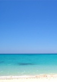 真夏の海、君と。