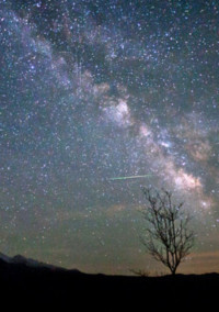 流れ星の贈り物