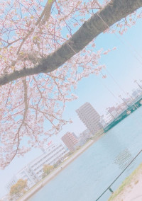 # __ 🌷 ☀️