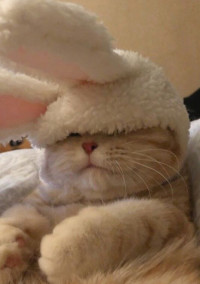 ᜊﬞﬞ ᶻᶻᶻ