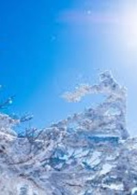 八月の雪
