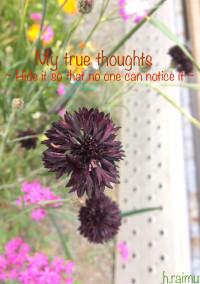 My true thoughtso