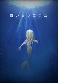 白いゼラニウム