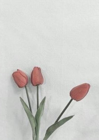 俺たちが愛しているからね…