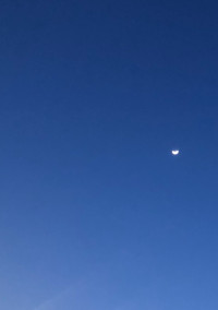 君の性奴隷になりたい。