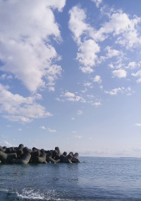 あなたが好きです。