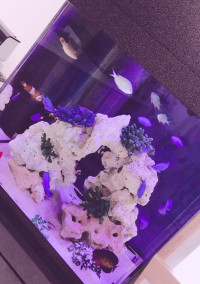 揺れた想いとスキって気持ち。