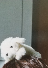 明日死ぬんだよ?