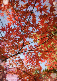 書こうと思ってるやつ