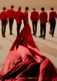 反韓な私がBTSのマネになる