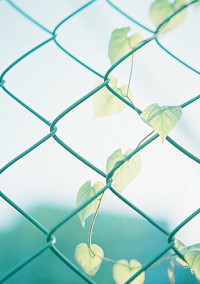君が髪を切る時に