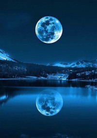 【 Moon night】〜月の夜〜