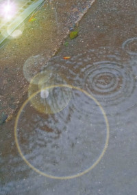 雨星