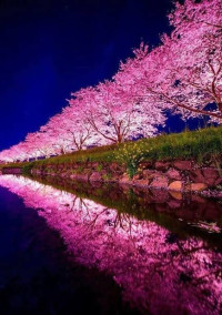 ただの雑談