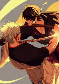 攘夷戦争最強の女侍(銀魂)