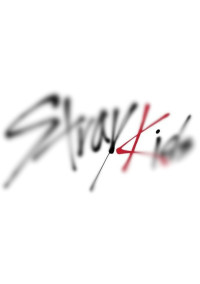 Straykids 歌詞和訳