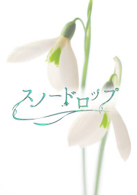 スノードロップ