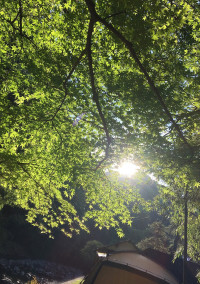 あの夏をもう一度