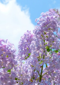 モテ期到来です。