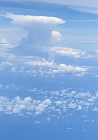 ある日僕は君に恋し君は消える