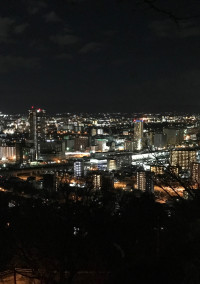 小説かな
