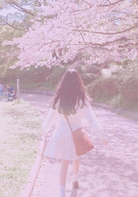 桜の花は儚くて...