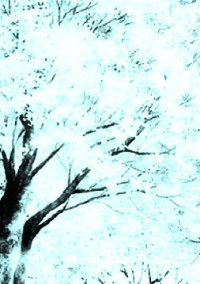 理想の先輩 ~アキラ~