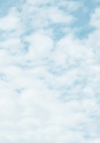 空白