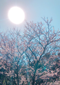 歌の歌詞☆