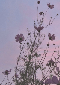 🍭𝕥𝕒𝕝𝕜 𝕣𝕠𝕠𝕞.*🎀