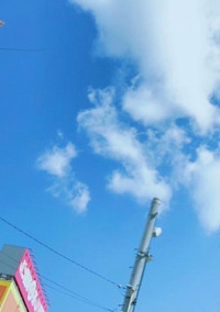 何も思わない