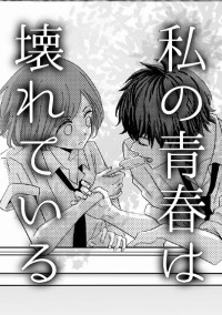 私の青春は壊れている