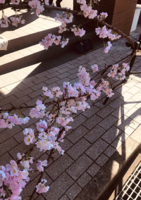 バイバイ、みんな。