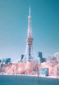 ひつじ雲部屋 💙🐏💛 〜青空公式ファンクラブ〜