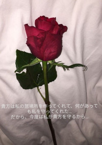 ★作者★のお知らせ~🎵