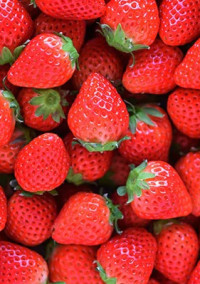 1ちごのざつだん部屋🍓✨