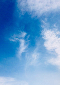 貴方に恋をして.....