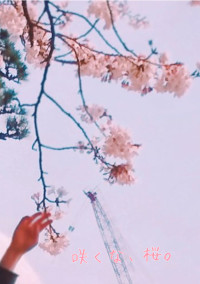 咲くな、桜。