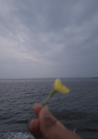 私。