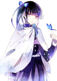 カナヲちゃんの妹は鬼になりました