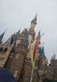 入院記録